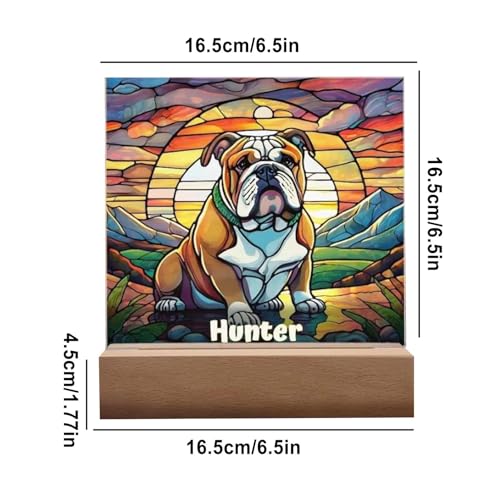 Decoración artística de perro para tiendas y escaparates con estilo comercial 4