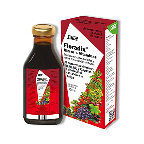 Floradix Hierro 250 ml de Salus