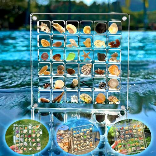 Biglumin Acrylbox - 36 Fächer Acrylbox Magnetic Seashell isplay Box Muschel sammelbox Seashell Display case Shell Display Box Aufbewahrungsbox Display-Organizer.(Klare)