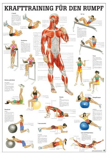 Ruediger Anatomie TA82 - Tavola per allenamento di...