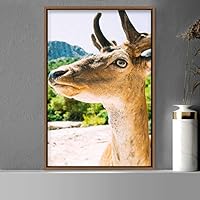 Framed Canvas Wall Art Deer Animals Deer Multicolor Photography Rustic Urban - 16x24 inches