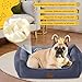 OUPEIWAWA Orthopädisches Hundebett für kleine & mittelgroße Hunde, 52x41x16cm (Schlafbereich 36x36cm), Hundekorb mit hohem Rand, Abnehmbarer & waschbarer Bezug, rutschfest, Dunkelgrau, Indoor/Auto