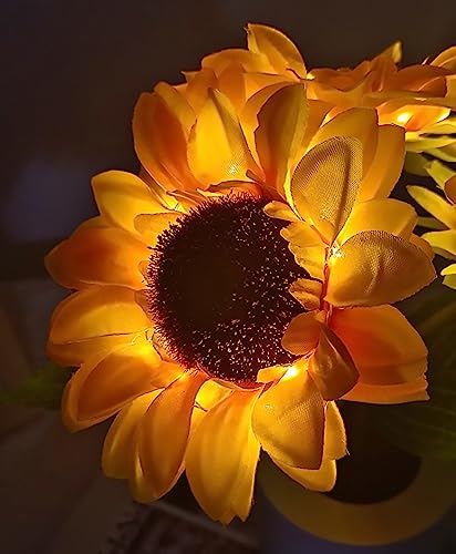 Funvalley Surperfect Lampada da tavolo a LED a