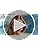 Retro Oval Sunglasses for Women Men Small 90s Trendy Narrow Vintage Fashion Funny Chic Sun Glasses AP3728