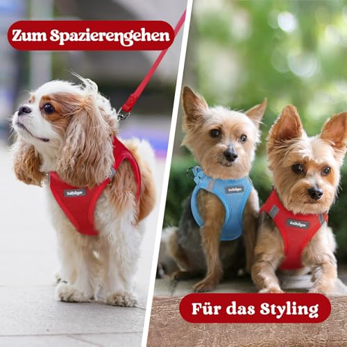 rabbitgoo Hundegeschirr Kleine Hunde, Step-in Welpengeschirr Weich Mesh für Spaziergänge, Atmungsaktives und Reflektierendes Brustgeschirr für Kleine und Mittelgroße Hunde, Rot, S
