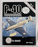 P-40 Warhawk in detail & scale, Part 1: Y1P-36 through P-40C - D&S Vol. 61