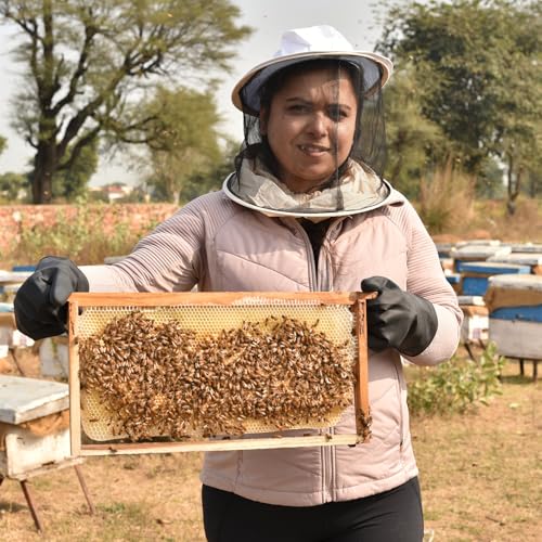Image of Shiva Organic Acacia flower Honey - 1kg | NMR certified 100% Natural Healthy and Pure Honey | No Added Sugar Flavour Unadulterated Sourced ethically from Acacia flower