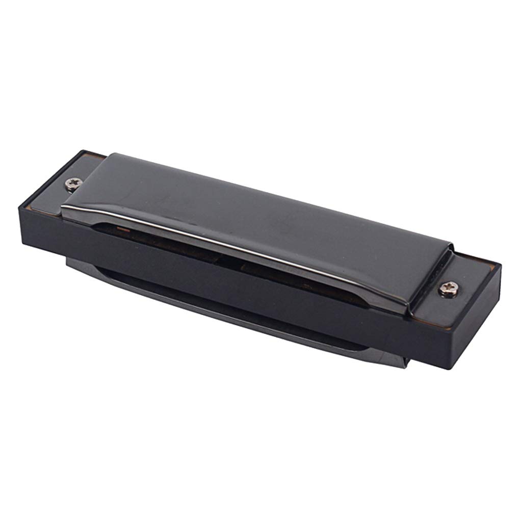 Harmonica 10 trous 20 mélodies orgue à bouche avec étui rigide et chiffon de soin - 8