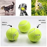 BOT Automatischer Ballwerfer für Hunde, inkl. 3Stk Hundebälle. Interaktives Hundespielzeug für Zuhause und Draußen (Ifetch Maxi 6.4cm)