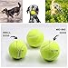 BOT Automatischer Ballwerfer für Hunde, inkl. 3Stk Hundebälle. Interaktives Hundespielzeug für Zuhause und Draußen (Ifetch Maxi 6.4cm)