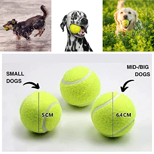 BOT Automatischer Ballwerfer für Hunde, inkl. 3Stk Hundebälle. Interaktives Hundespielzeug für Zuhause und Draußen (Ifetch Maxi 6.4cm)