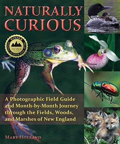 Naturally Curious: A Photographic Field Guide and Month-by-Month Journey Through the Fields, Woods, and Marshes of New England Paperback – October 15, 2010