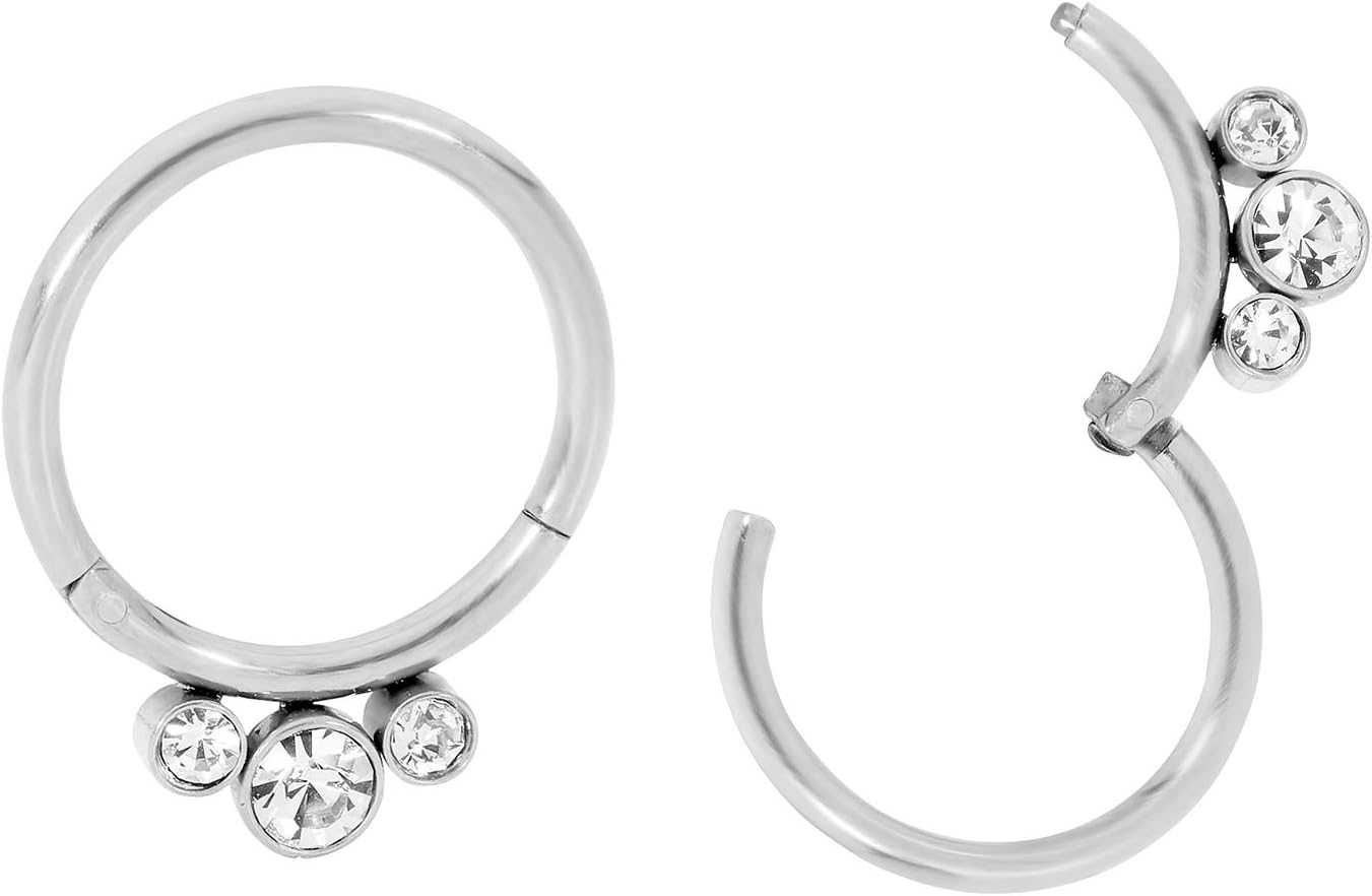 365 Sleepers 316L Surgical Steel Hypoallergenic 16G Gem Septum Jewelry Hinged Segment Ring Body Piercing Hoop Lip Rings Helix Cartilage Rook Sleeper Earrings 8mm – 10mm