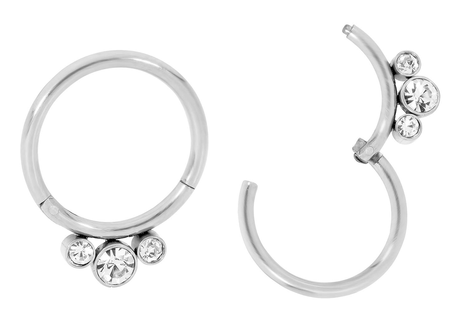 365 Sleepers316L Surgical Steel Hypoallergenic 16G Gem Septum Jewelry Hinged Segment Ring Body Piercing Hoop Lip Rings Helix Cartilage Rook Sleeper Earrings 8mm – 10mm