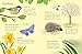 Usborne Things to Spot in Springtime (Usborne Minis).