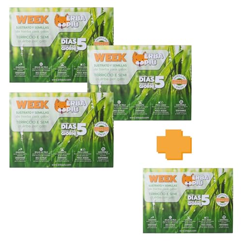ERBAPIÙ BUNDLE 3+1 Week Kit Erba per gatti - contenente semina per gatti, terriccio in fibra di cocco e semi, crescita in 5-7 giorni