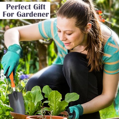 Image of Go Hooked 5 Pcs Gardening Tools Kit Cultivator, Fork, Transplanter, Weeder, Graden Scissor Heavy Duty with Soft Grip Handles Garden Tools Set for Indoor Outdoor Plants, Balcony, Home Garden Use