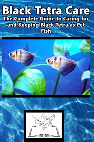 tetra pet fish