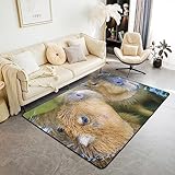 Homewish