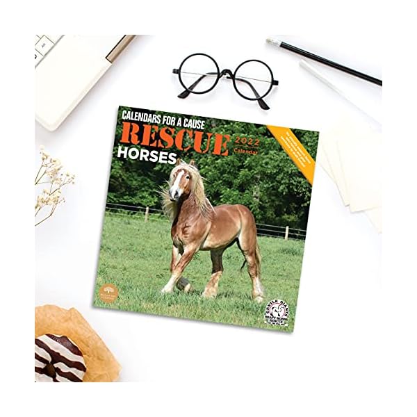 Bright Day 2022 Rettungspferde Wandkalender 30,5 x 30,5 cm, niedliche Bauernhoftiere Kalender für eine Sache – Bild 6