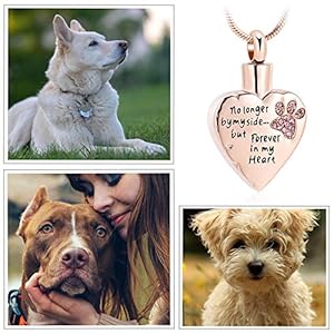 memorial jewelry No Longer by My Side,But Forever in My Heart Carved Locket Cremation Urn Necklace for Pet Dog Cats