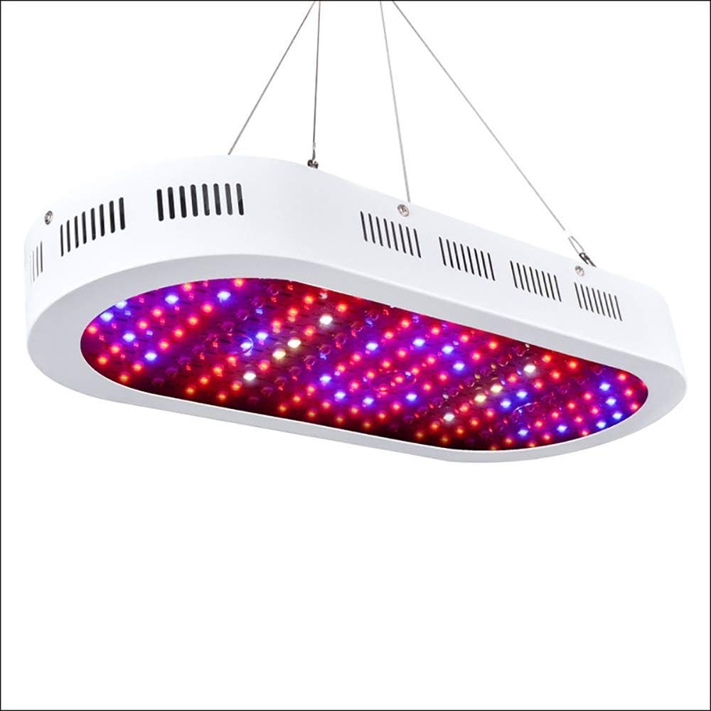 luci idroponiche per piante d'appartamento