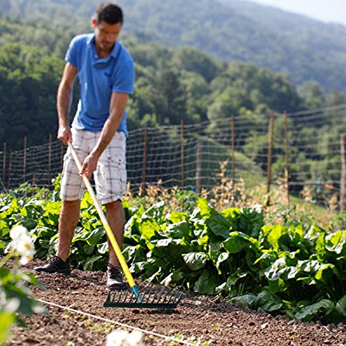 LEBORGNE - Râteau Duopro 14 Dents Courbes sans Manche - Outillage de Jardin - Râteaux - pour Ratissage, Nivelage, Épandage - Professionnels BTP et Jardinage