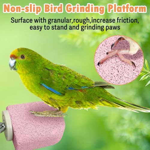 Image of PINVNBY 4 PCS Bird Perch Stands Parrot Calcium Perch Beak Grinding Stone Foot Claws Trimmer Parakeet Platform Parrot Chewing Toys for Small Medium Cockatiel Conure Lovebird Finch(Purple)