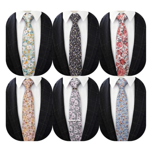Image of Barry.Wang Men 6PCS Tie Silk Gift Necktie Clip Woven Tie Sets Party | Men Tie Classic Silk Gift Necktie With Tie Clip Jacquard Woven Neck Ties 6PCS Formal Wedding
