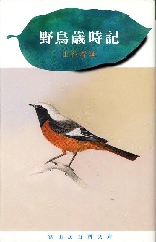 定本野鳥記 第9巻から10巻、12巻から16巻7冊セット中西悟堂 定本野鳥記 第9巻から10巻、12巻から16巻7冊