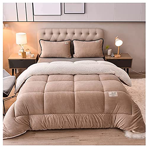 BDMFJY Edredón Algodón Invierno, Nórdico Cálido Núcleo, Terciopelo De Cordero De Grueso Cálido Edredón De Invierno, Núcleo De Cachemira, Hipoalergénico,B,180x220cm(3.5kg)