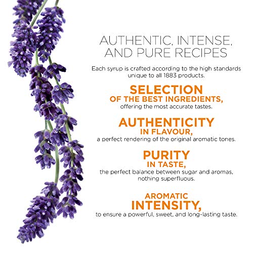 Image of 1883 Lavender Syrup - Flavored Syrup for Hot & Iced Beverages - Gluten-Free, Vegan, Non-GMO, Kosher, Preservative-Free, Made in France | Glass Bottle 1 Liter (33.8 Fl Oz) (Pack of 2)