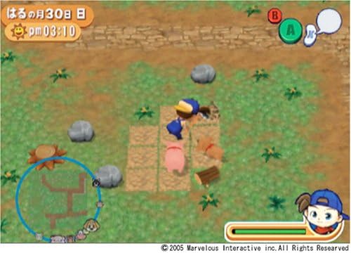 Amazon 牧場物語 しあわせの詩 ゲームソフト Amazon 牧場物語 しあわせの詩 ゲームソフト