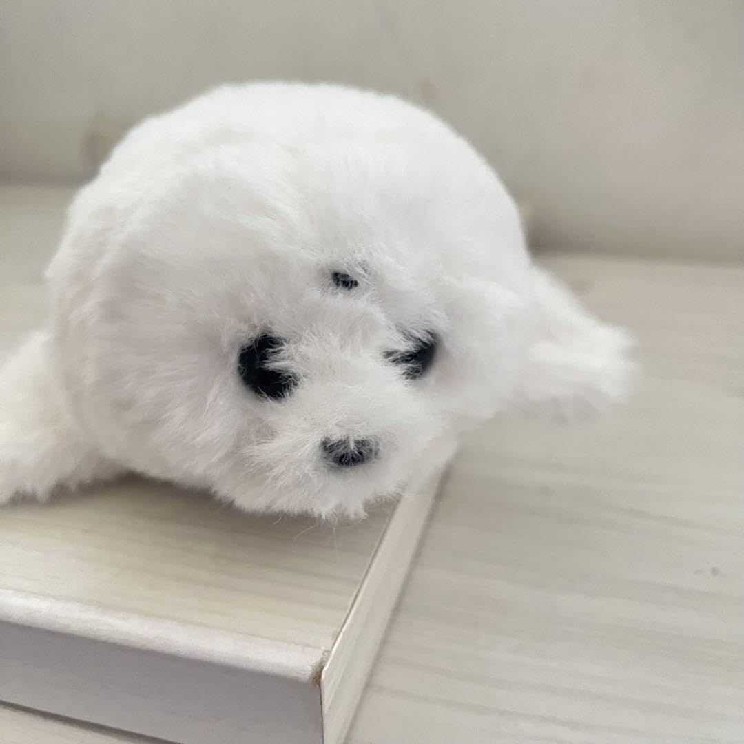 Amazon.co.jp: 海遊館 赤ちゃんアザラシぬいぐるみ Sサイズ