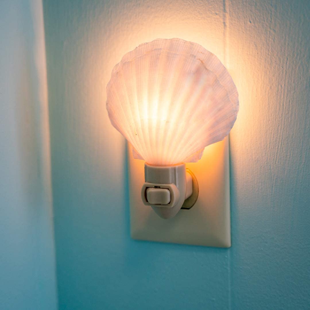 shell  light ♡ seaside ♡ white シェルライト Nautical Crush Trading Seashell Night Light – Beach Night Light