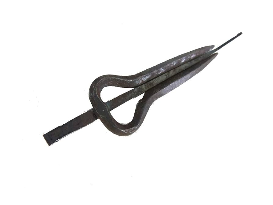 パイオニア リズム缶 PIONEER RHYTHM CAN ジューズ・ハープ Amazon | 口琴 ジューズハープ Jew's Harp 鉄製 小 メール便発送