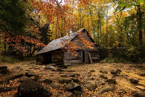 Country Photography Print (Not Framed) Picture of Old Barn Surrounded by Fall Foliage on Autumn Day in Great Smoky Mountains Tennessee Rustic Wall Art Cabin Lodge Decor (30
