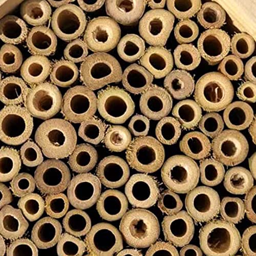 Ykop Bienenhotel - 15 X 15 X 9 cm | Insektenhotel Insektenhotel Bienen Bienenhotel Zum Aufhängen Nisthilfe Für… – Bild 7