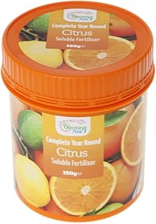 You Garden - Blooming Fast Citrus Feed Soluble 150g Tub - Citrus Plant Food for Orange Trees, Lemon Trees, Lime Trees & Exotic Fruit Trees Perfect for Gardeners