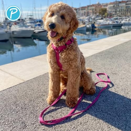 Petlando Hundeleine Mesh, 2,30 m Länge & 1,5 cm Breite für kleine Hunde, verstellbar & pflegeleicht, Farbe Fuchsia, Hands Free Führleine
