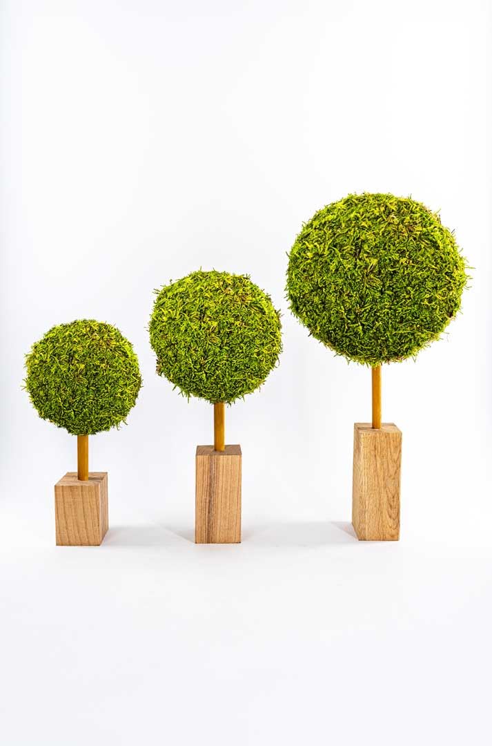 Generisch Moosbaum-Set von dekogreen, handgefertigt aus echtem Moos, 3 Stück in verschiedenen Größen, für stilvolle Geschenke oder Dekoration für zu Hause, Hochzeiten, Geburtstag
