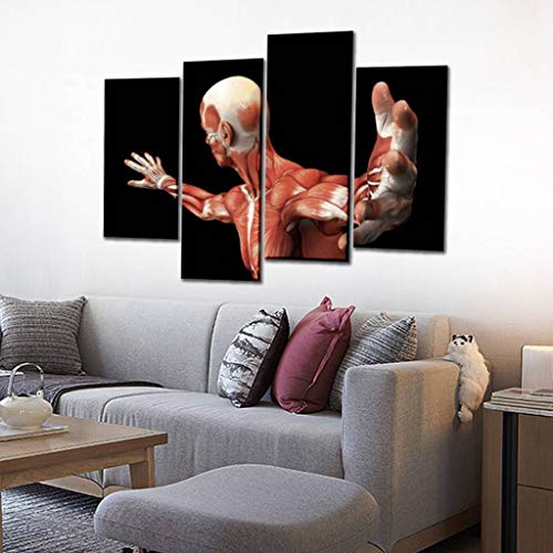 Hipolotus 4 Panel Canvas Pictures Human Anatomy Male Muscles 3D Wall Art Prints Paintings Stretched & Framed Poster Home Living Room Decoration Ready To Hang thumb #2