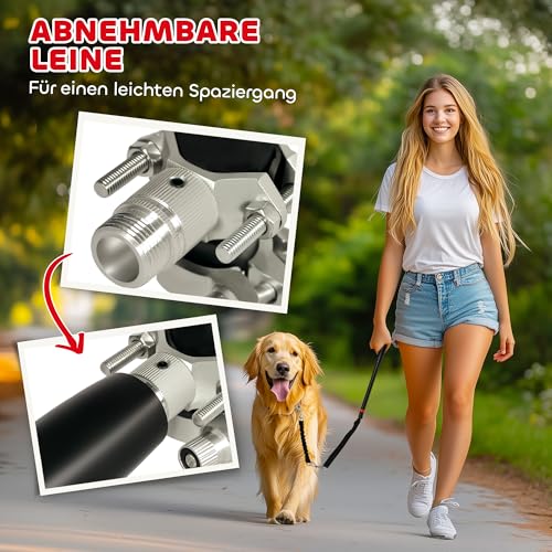 PawHut Fahrradleine für Hunde Hundeleine Einfache Demontage und Installation Fahrrad Hundeleine für Radfahren, Fahrrad, Joggen, Training, Schwarz