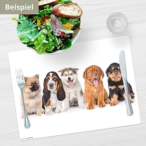 Tischset | Platzset abwaschbar – 5 süße Hundewelpen – 44 x 32 cm – aus hochwertigem Vinyl