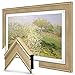 Frame My TV Deco s - Champagne (precedentemente argento caldo) Smart compatibile solo con Samsung The (65 pollici, adatto 2021-2023) immagine