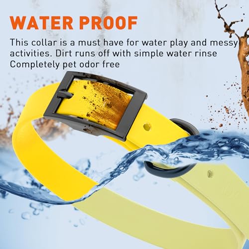 Image of Dogline Biothane Waterproof Dog Collar Strong Coated Nylon Webbing with Black Hardware Odor- Proof for Easy Care Easy to Clean High Performance Fits Small Medium or Large Dogs, Lemon Yellow