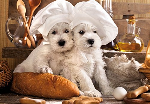 1art1 Hunde Zwei Zuckersüße Hündchen, 3-Teilig Fototapete Poster-Tapete 360x250 cm
