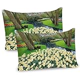 ABAKUHAUS Frühling Kissenbezug Packung mit 2, Blumen-Garten im Erholungspark mit frischer Gras-Feld-und Teich-Natur-Szene, Dekorativer Standard Gedruckter Kissenbezug, 80 x 40 cm, Grün und Brown