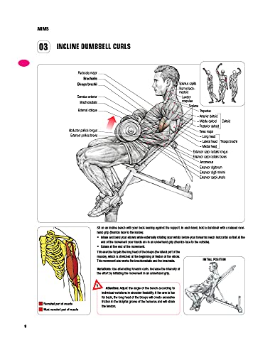 Strength Training Anatomy-3Rd Edition