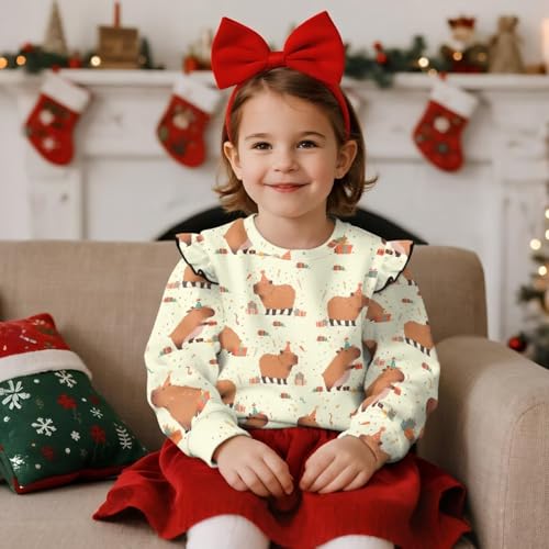 Sweatshirts for Girls 3-8Years Crewneck Long Sleeve Sweater Fall Spring Shirts Fleece Pullover Top Kids Toddler3